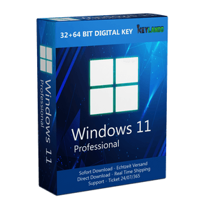 Windows 11 Professional
