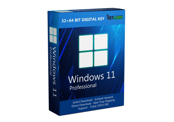 Windows 11 Professional