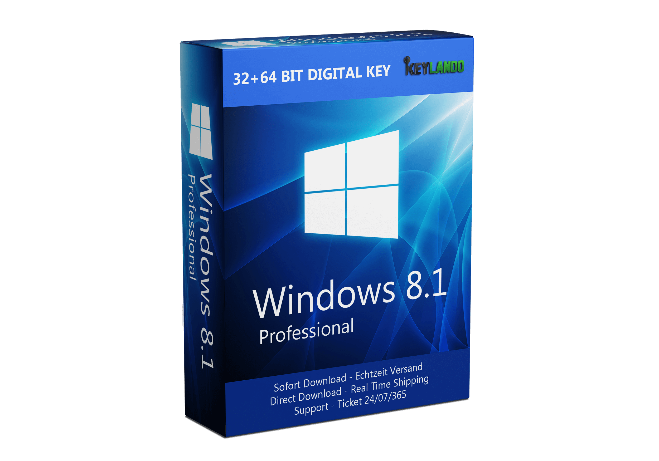 Windows 8.1 professional