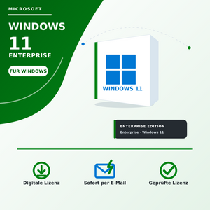 Microsoft Windows 11 Enterprise